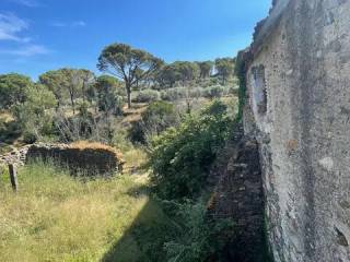 Vistas