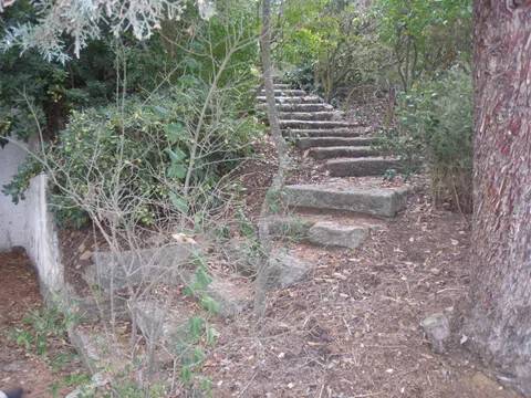 Jardín