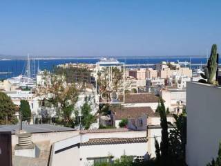 Vistas