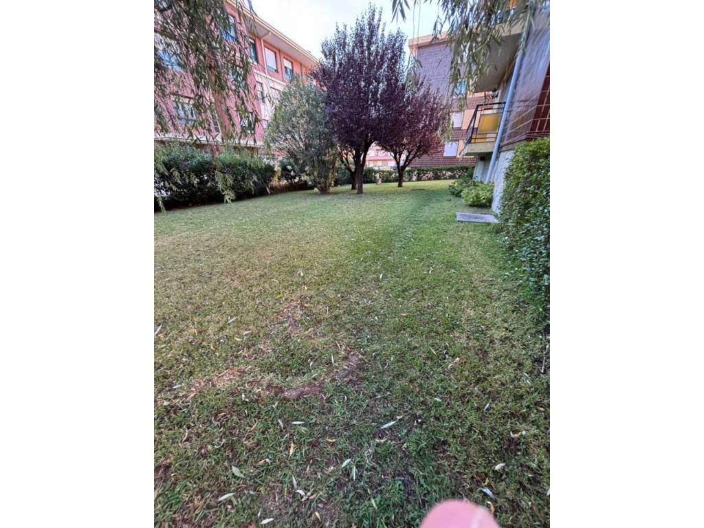 Jardín