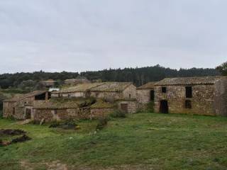Jardín