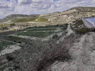 Vistas