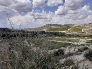 Vistas