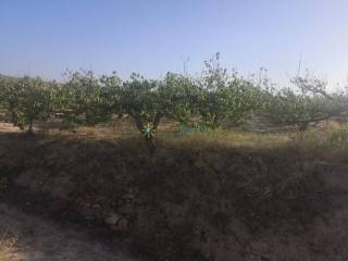 Vistas