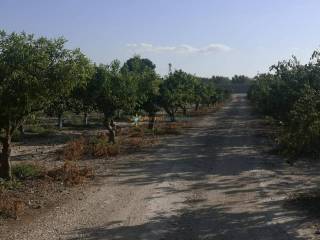 Vistas
