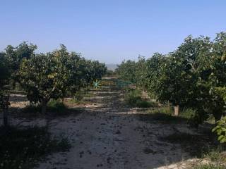 Jardín