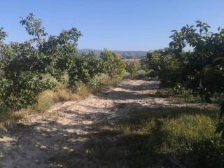 Vistas