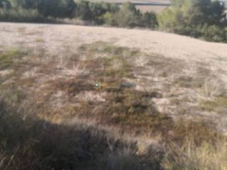 Vistas