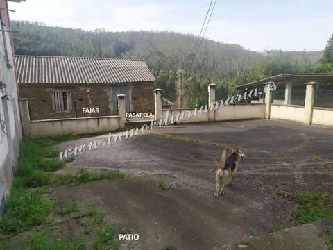 Desconocido