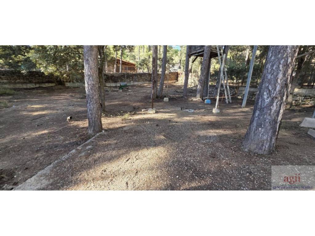 Jardín