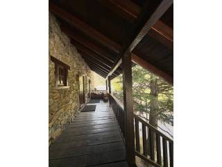 Entrada/Salida