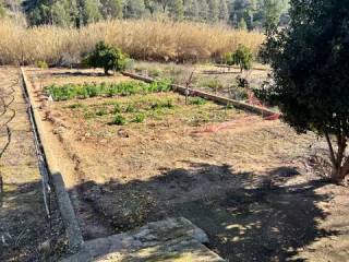 Jardín