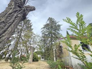 Jardín