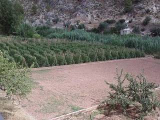 Jardín