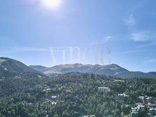 Vistas