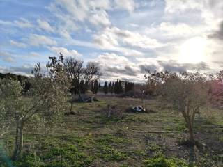Vistas
