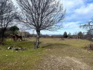Jardín