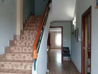 Entrada/salida