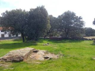 Jardín