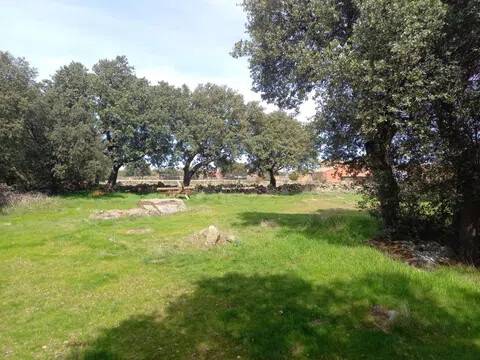 Jardín