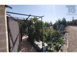 Jardín