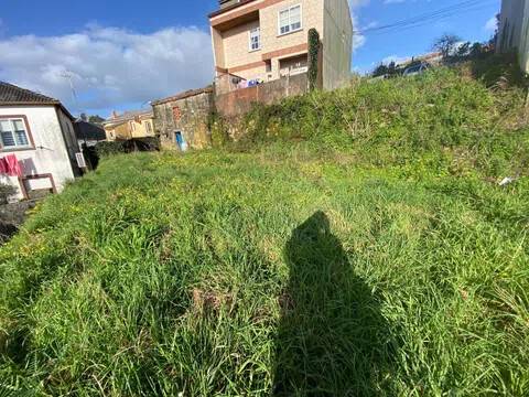 Jardín