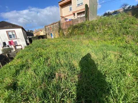 Jardín