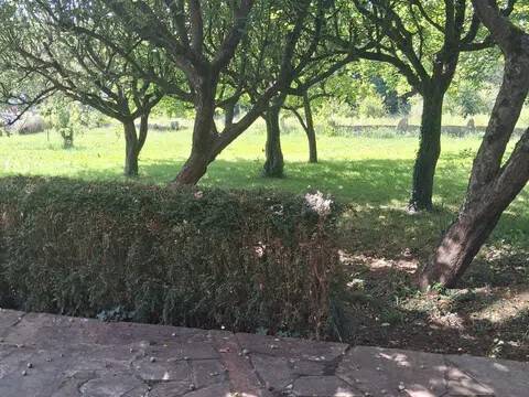 Jardín