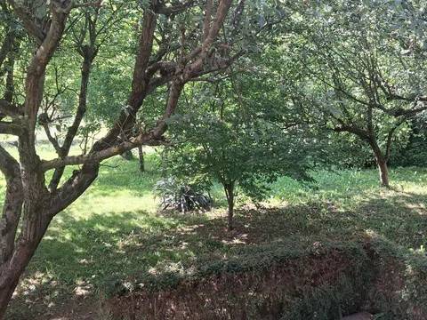 Jardín