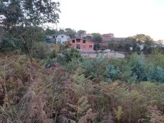 Vistas