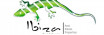 Ibiza rent and service