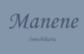 Manene inmobiliaria