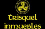 TRISQUEL INMUEBLES