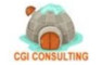 CGI CONSULTING