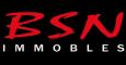 Bsn Immobles